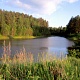 БАРЫШСКИЙ РАЙОН. Степанова Валерия. Село Акшуат. Мишкин пруд